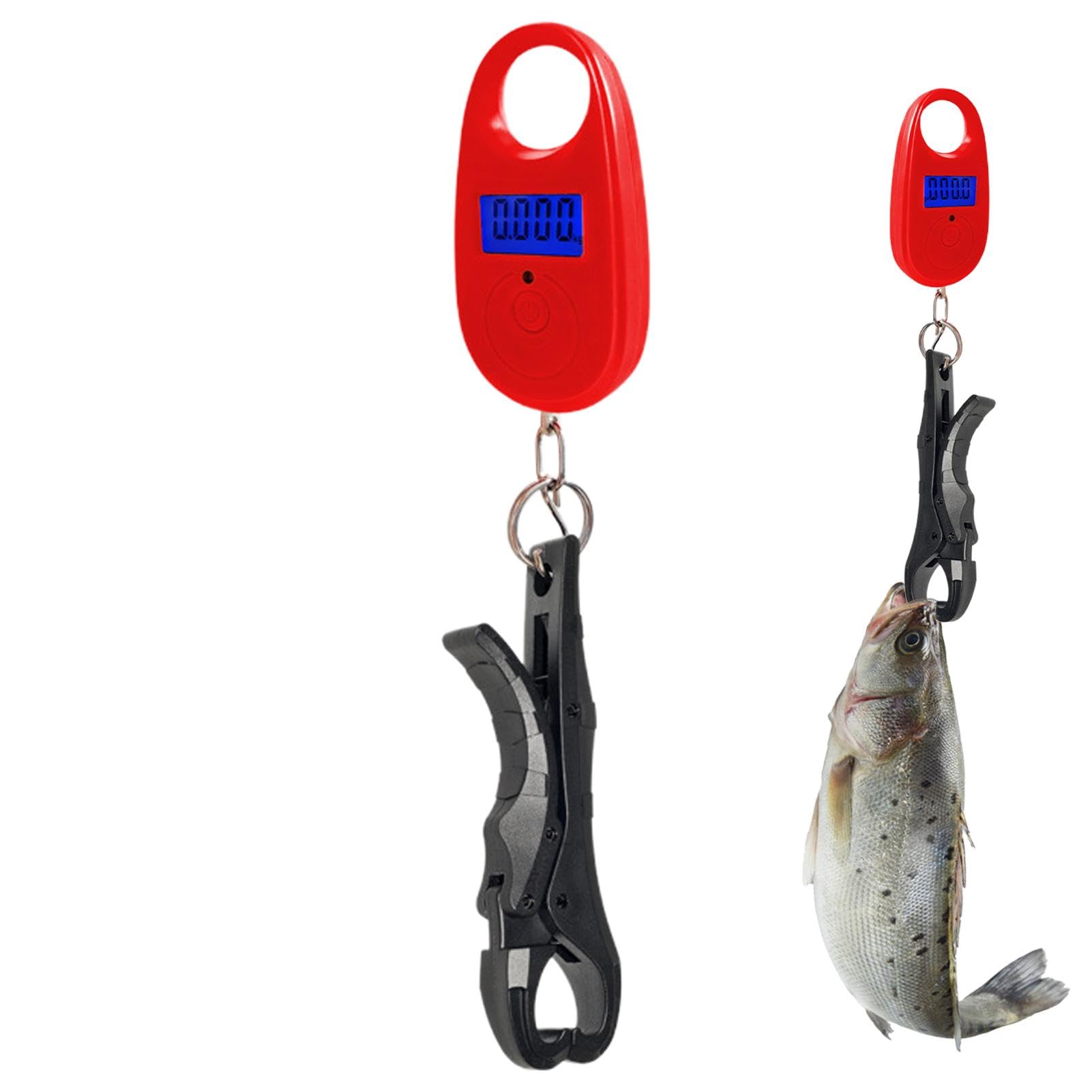 Amazon.co.jp: デジタルフィッシュコントローラー | 魚の体重計